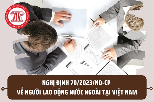 Sở Lao động - Thương binh và Xã hội triển khai thực hiện quy định về người lao động nước ngoài làm việc tại Việt Nam và tuyển dụng, quản lý người lao động Việt Nam làm việc cho tổ chức, cá nhân nước ngoài tại Việt Nam